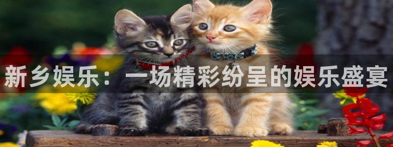 星欧娱乐注册成功吗：新乡娱乐：一场精彩纷呈的娱乐盛宴