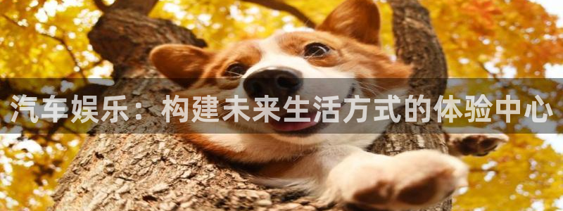 星欧娱乐入口：汽车娱乐：构建未来生活方式的体验中心