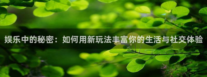 星欧娱乐官网网址：娱乐中的秘密：如何用新玩法丰富你的生活与社交体验