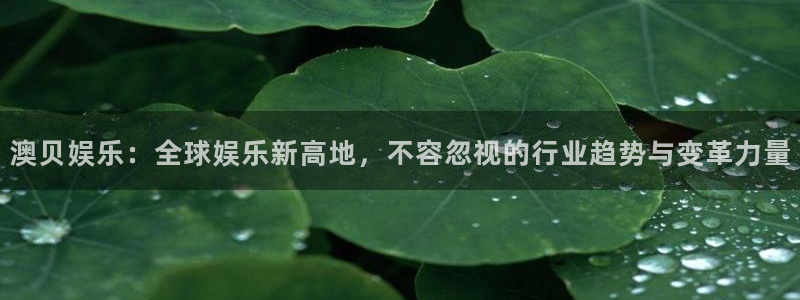 星欧娱乐登录入口：澳贝娱乐：全球娱乐新高地，不容忽视的行业趋势与变革力量