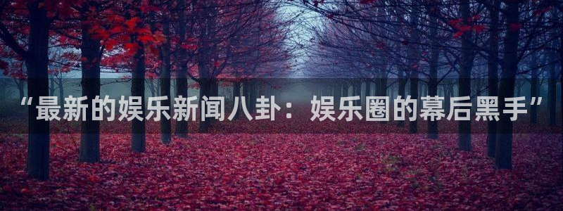 星欧娱乐登录入口：“最新的娱乐新闻八卦：娱乐圈的幕后黑手”
